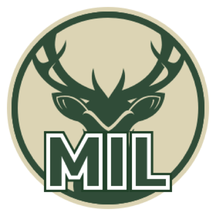 蒙得维的亚流浪者